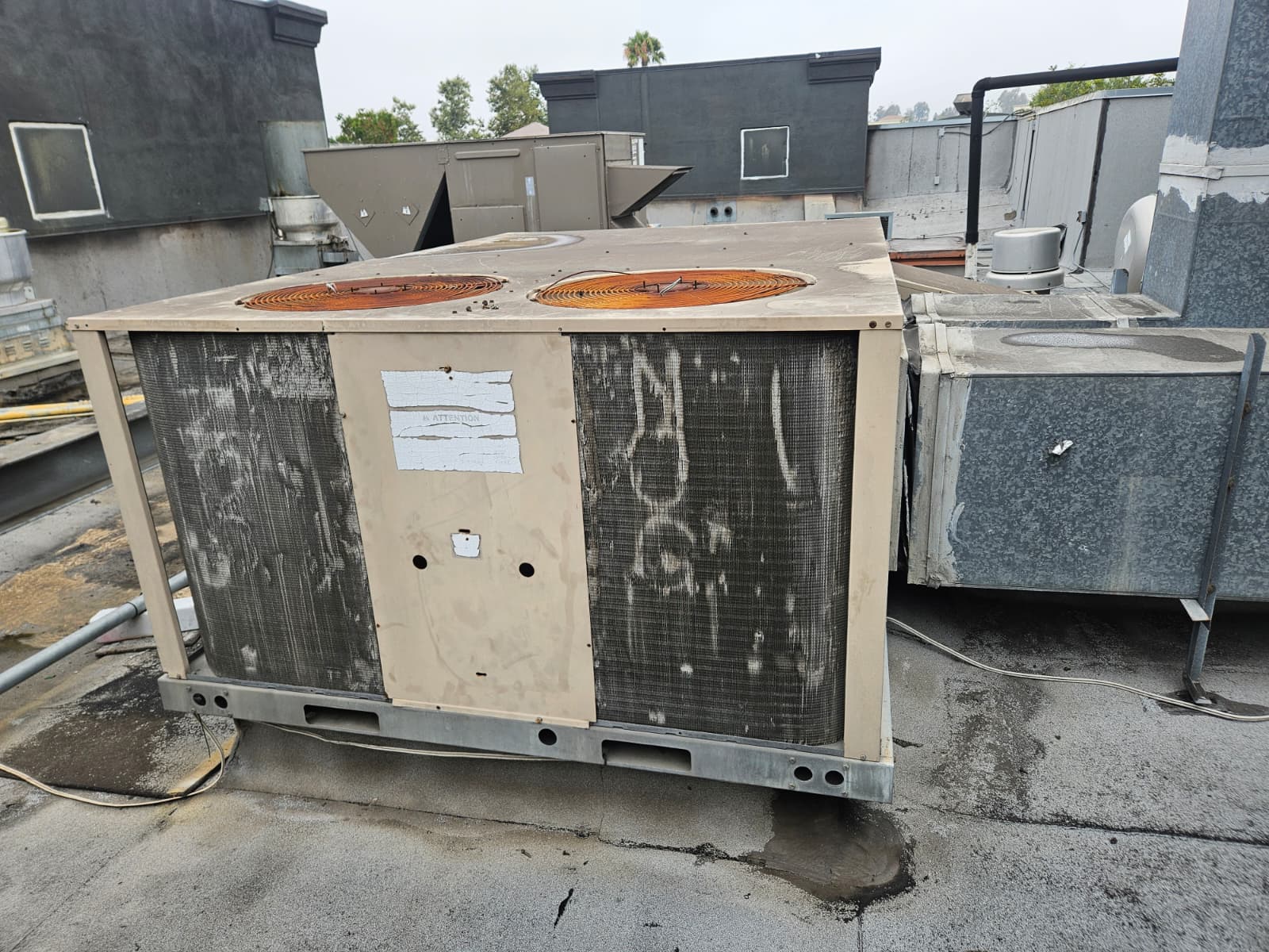 2ffe9b58-aeaa-4671-809c-2d831b7491d9