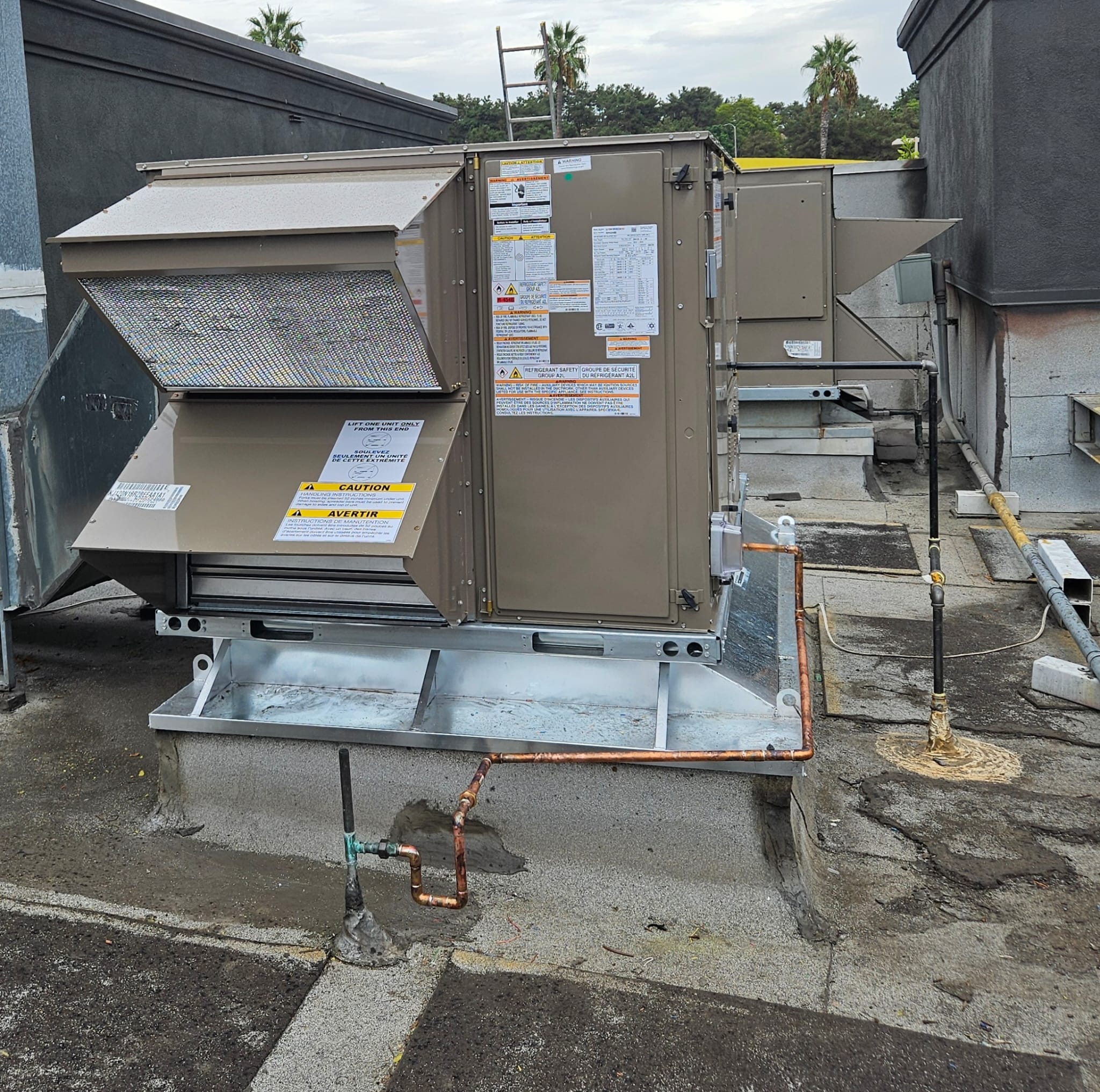 c65fe7f1-1ffb-4792-9af2-e4a74118e7b0