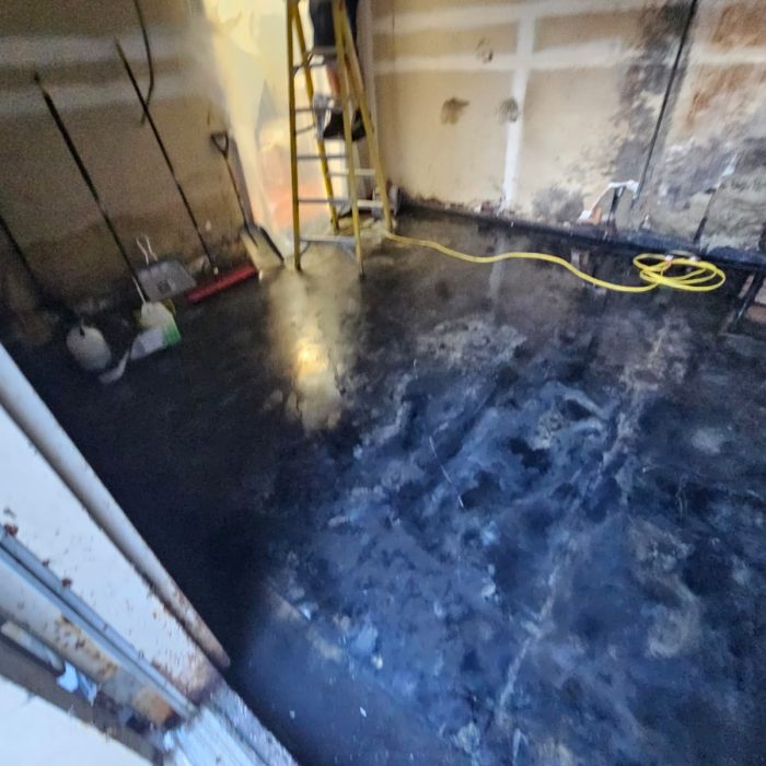 23bf06bf-8c6c-49a7-99a1-d577246c3976