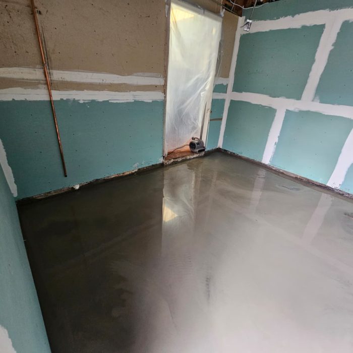 3e48d838-9845-4ae2-9702-46238f7c6665