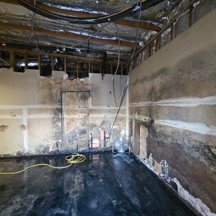 53d6790e-acea-4e11-8055-e03aae8503b2