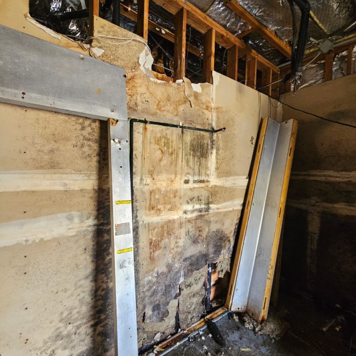 dd03928c-a94e-4b76-834b-0325685ef158