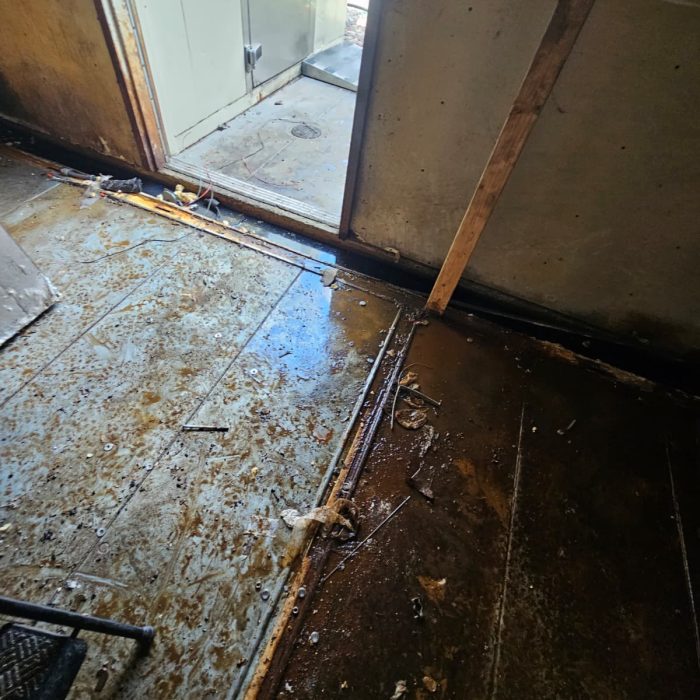 e3539b70-e074-4dbb-8ecd-6dc05031f4a0